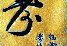 综合材料墙——种子、PVC管篇-幼师课件网