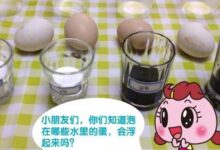 《不插电的科学实验》-幼师课件网