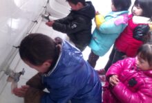 新老师必看，主题活动的开展。-幼师课件网