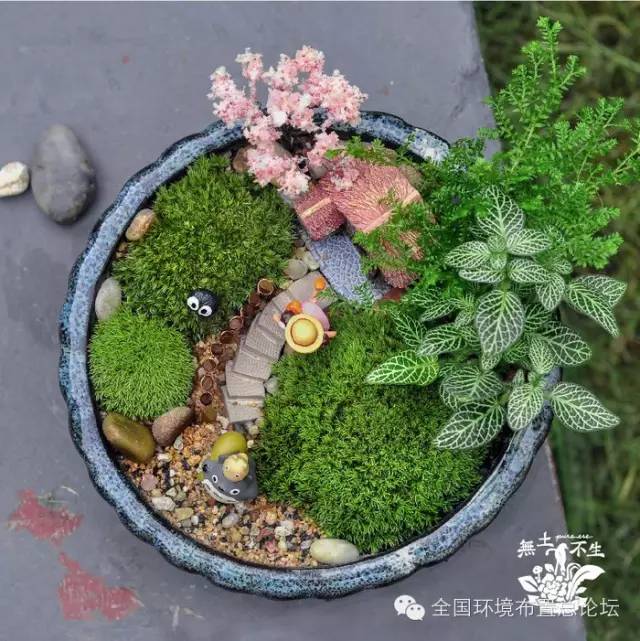 原来盆栽可以这样种植的！-幼师课件网第1张图片