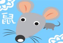 十二生肖活动一：科学活动-我知道的生肖-幼师课件网