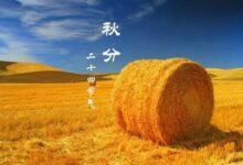 二十四节气第16节 | 秋分：丹桂飘香，蟹肥菊黄-幼师课件网