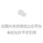 虞永平:深层分析,幼儿园课程游戏化应关注的4大问题-幼师课件网