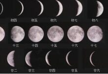 Summer聊节日 | 元旦、新年、春节，这三个东西到底是啥-幼师课件网