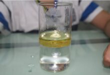 中班科学教案：《油和水》-幼师课件网