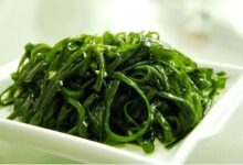 中班健康教案：蛀牙虫，快走开-幼师课件网
