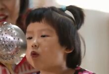 精品公开课 | 这样开展科学活动，才是《指南》的正确打开方式-幼师课件网