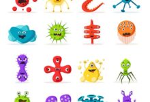 中班健康活动 | 《可恶的病毒我不怕》-幼师课件网