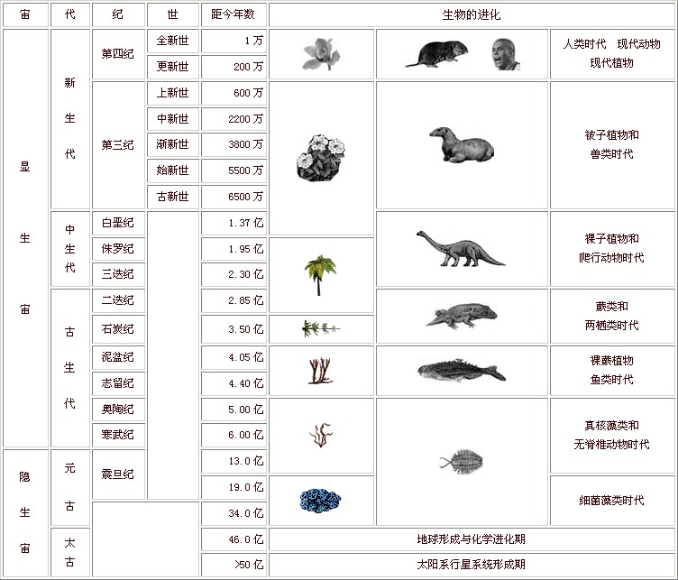 国外的自然角，装得下整个地球-幼师课件网第18张图片