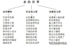 幼儿园主题活动教案：水的世界-幼师课件网