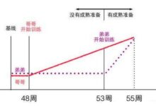 双生子实验——请尊重幼儿发展规律-幼师课件网