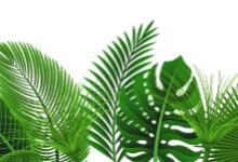 Summer聊走廊环创 | 一篇文章告诉你，幼儿园走廊环创到底该怎么做-幼师课件网
