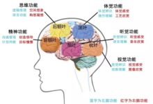 2016AMI北京年会｜Jack Yu专栏－完备环境中汉字教学的真谛-幼师课件网