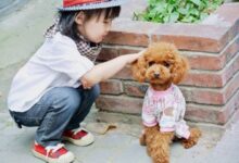 万能游戏 | 《兔子跳，乌龟蹲》看你的反应有多快-幼师课件网