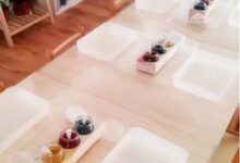 科学活动:《荷塘月色》-幼师课件网