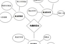 幼儿园大班主题活动《有趣的昆虫》-幼师课件网