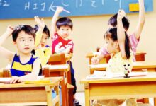 从细节处把握教育契机-幼师课件网
