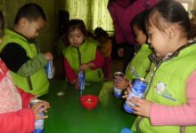 为什么要开展幼儿的科学探索活动？-幼师课件网