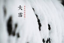二十四节气 | 大雪：集浪漫与美食与一身-幼师课件网