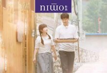 日本人跟拍福原爱24年的神作，戳痛多少中国父母-幼师课件网