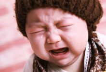 幼儿园老师的绝密止哭招数-幼师课件网