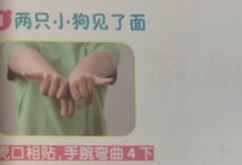 手指谣——好朋友-幼师课件网