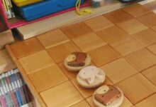 看国外丨8款日本小朋友最爱玩的玩具，了解一下？-幼师课件网