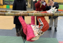 五爱幼教集团开展户外活动观摩与研讨-幼师课件网