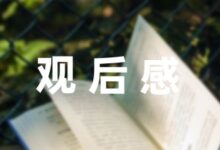 【必备】护苗家庭教育观后感优秀模板三篇-幼师课件网