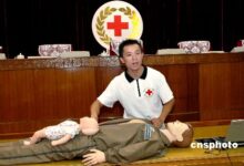 上海3万名托幼教师将接受儿童急救基本技能培训-幼师课件网