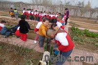 泰安市宁阳县蒋集镇中心幼儿园：探索水的流动-幼师课件网