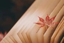《幼儿园课程评价》 第四章 （第四节） 导读-幼师课件网