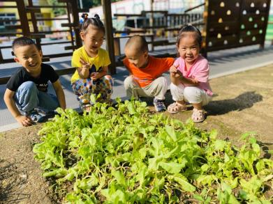 【和爱同幼】奇妙的蔬菜探索之旅-幼师课件网第29张图片