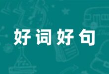 读拿破仑传有关好词好句的笔记摘抄范例五篇-幼师课件网