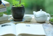 《幼儿园课程评价》第三章第二、三节导读-幼师课件网