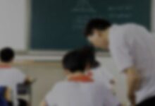 大班垃圾分类活动教案范文汇编九篇-幼师课件网