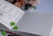 3~6岁孩子的正面管教读后感6篇-幼师课件网