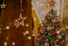 最新方案:圣诞节幼儿园活动方案7篇-幼师课件网