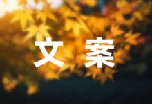 关于孩子调皮捣蛋的朋友圈文案-幼师课件网