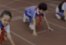 法制安全教育进校园活动总结通用5篇-幼师课件网