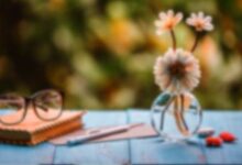 张之路《羚羊木雕》读后感-幼师课件网