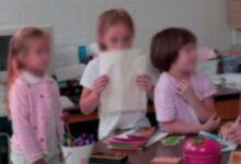 幼儿园大班科学活动：奇妙的复制-幼师课件网