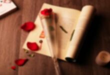 有关励志小故事700字-幼师课件网