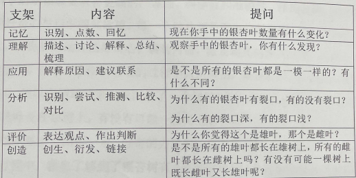 让孩子的深度学习自然发生――对大班科学活动《探秘银杏叶》阐迷-幼师课件网第1张图片