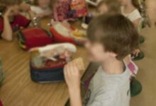 幼儿园中班科学活动教案《春天的信息》-幼师课件网