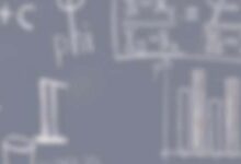 中班数学《比较宽窄》教案-幼师课件网