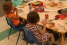 幼儿园科学光与影活动教案-幼师课件网