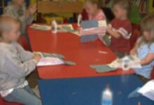 幼儿园大班科学活动教案：神奇的叶绿素-幼师课件网