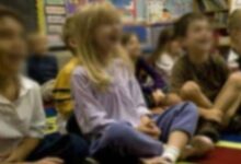 幼儿园中班语言活动《三只小猪》教案-幼师课件网