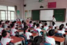 教学设计具有哪些原则-幼师课件网